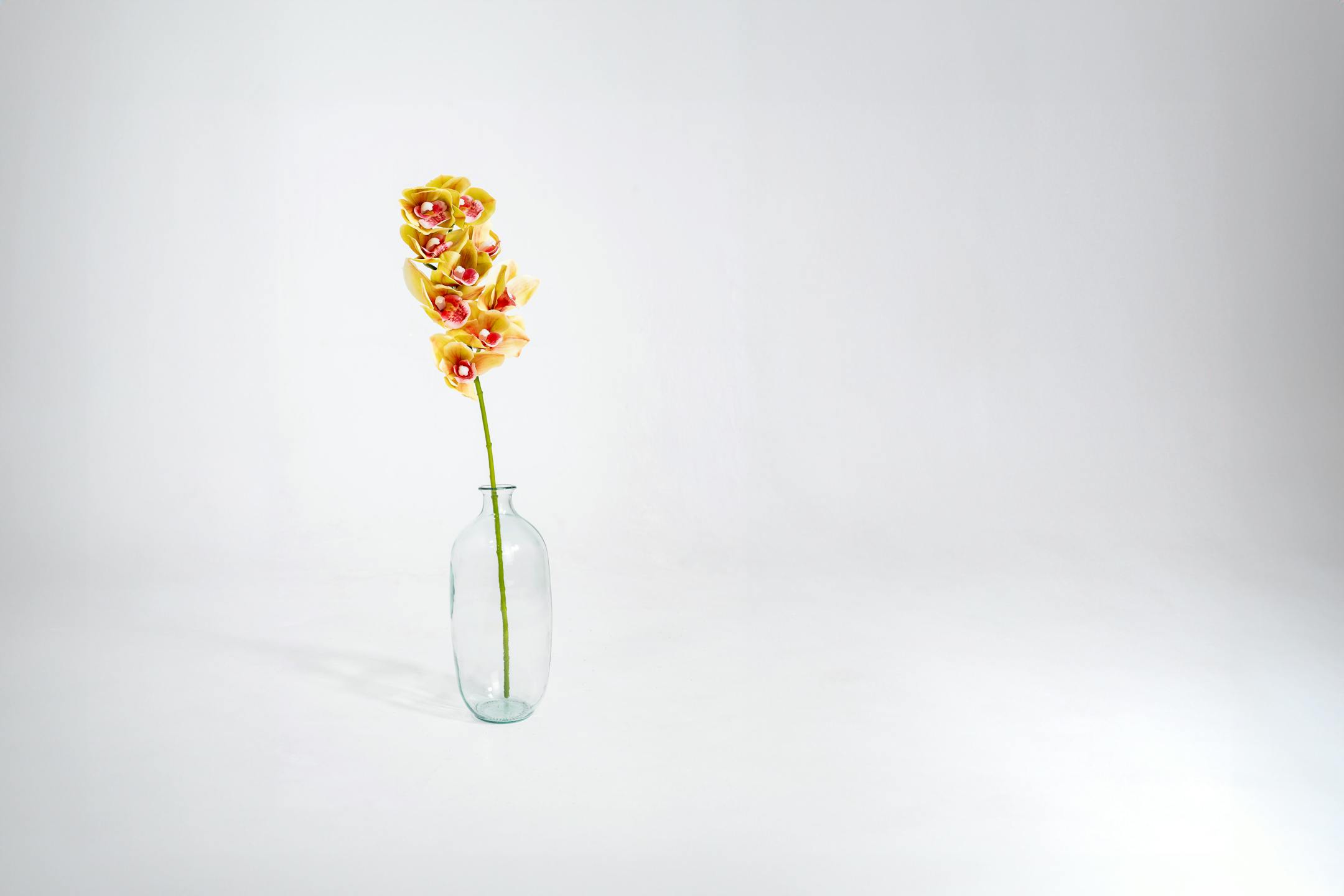Artificial cymbidium orchid stem in glass vase