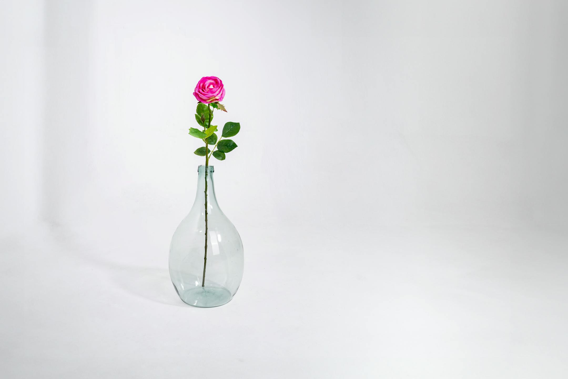 Dark pink artificial rose stem in glass vase