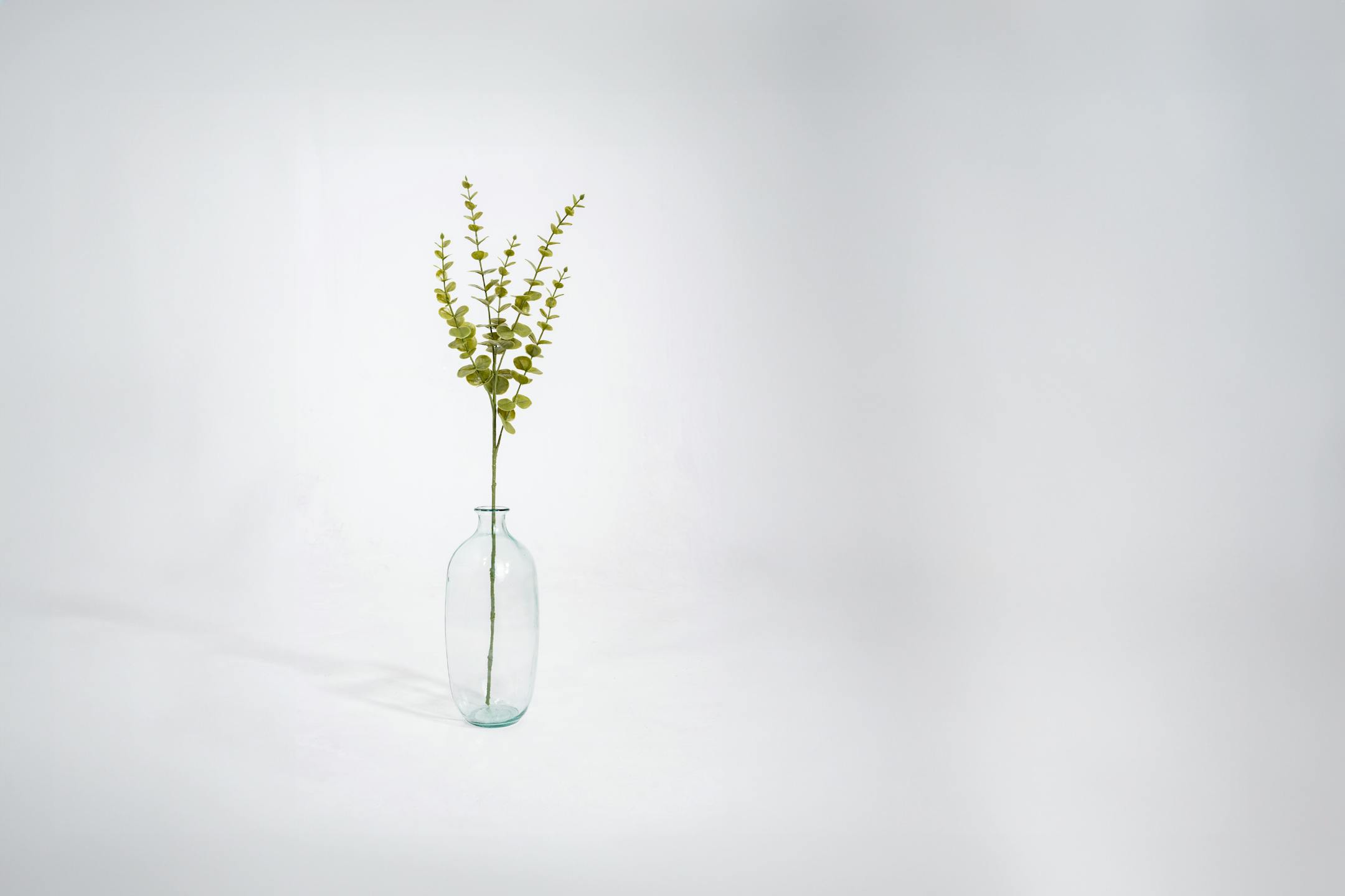 Artificial eucalyptus filler spray in glass vase