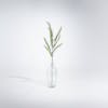 Artificial foliage spray in glass vase