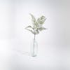 Artificial forest fern stem in glass vase