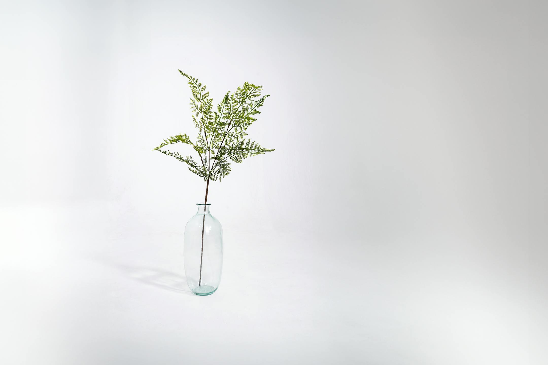 Artificial forest fern stem in glass vase