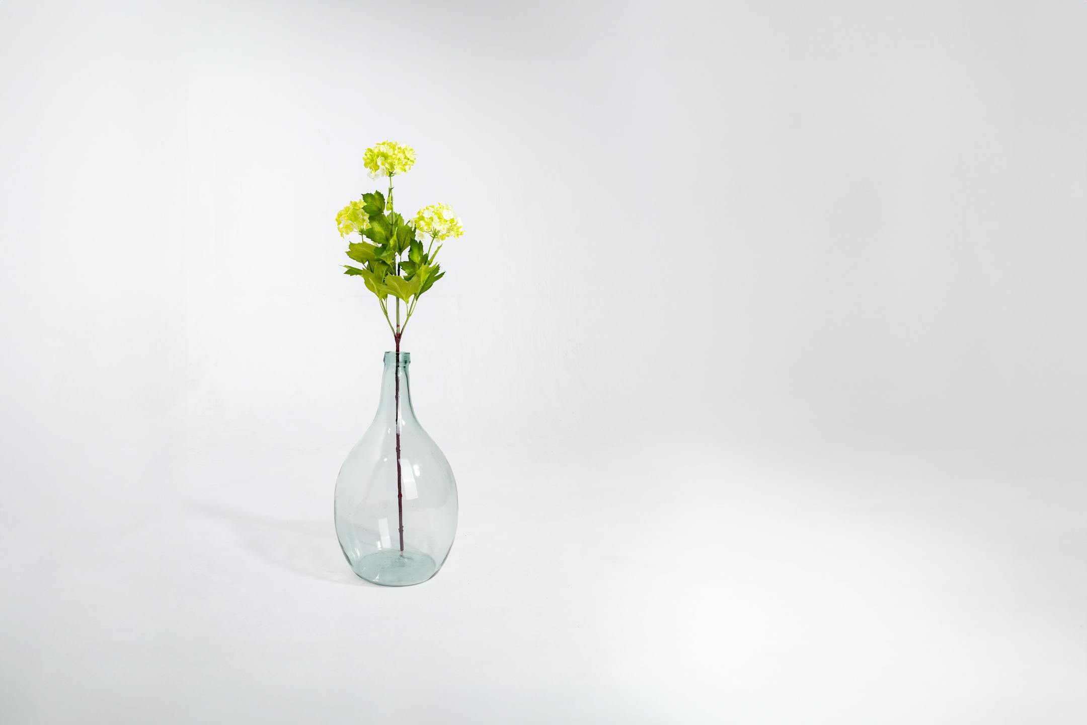 Green artificial viburnum stem in glass vase