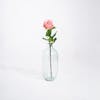 Light pink artificial rose stem in glass vase
