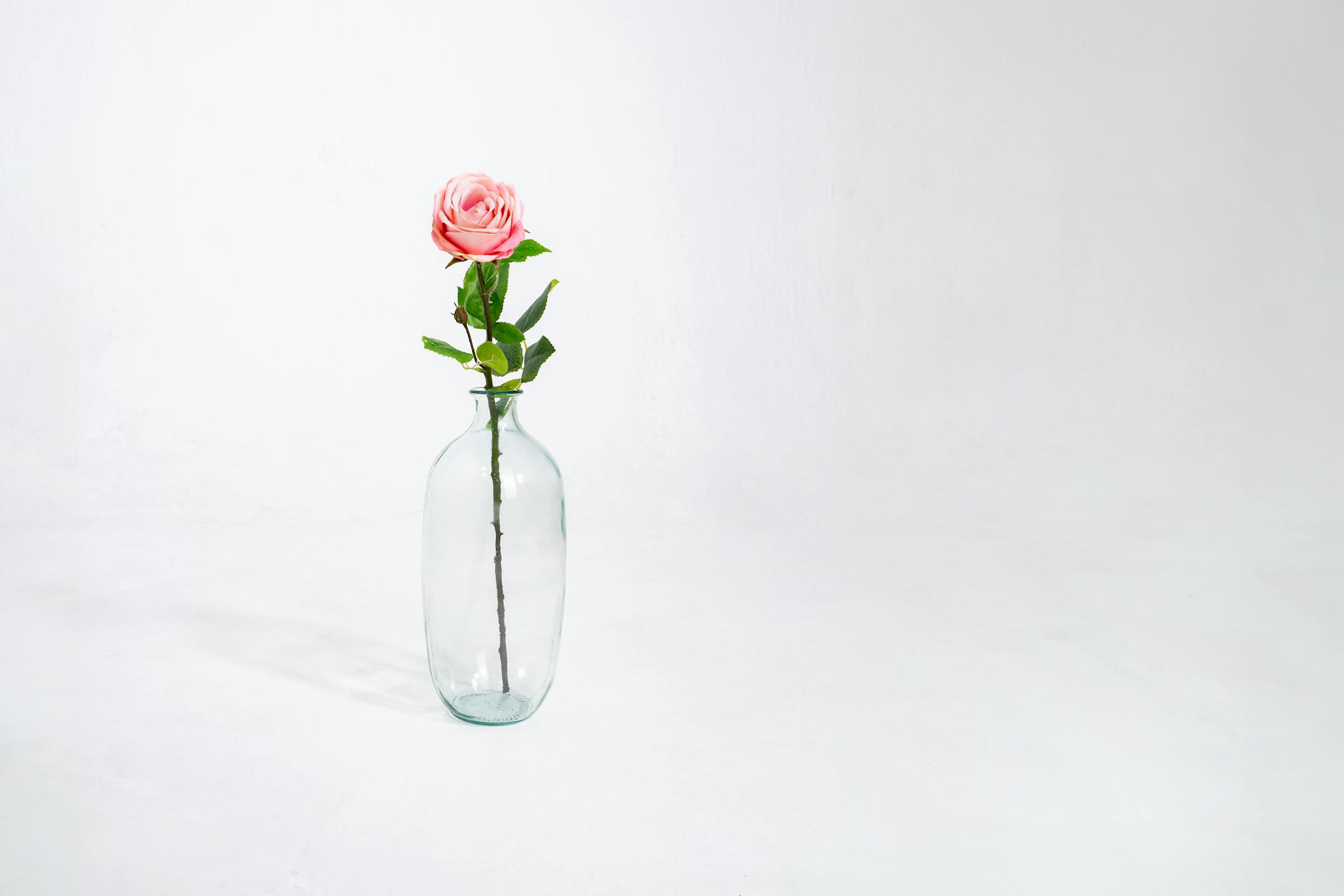 Light pink artificial rose stem in glass vase
