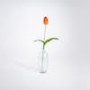 Orange artificial tulip stem in glass vase