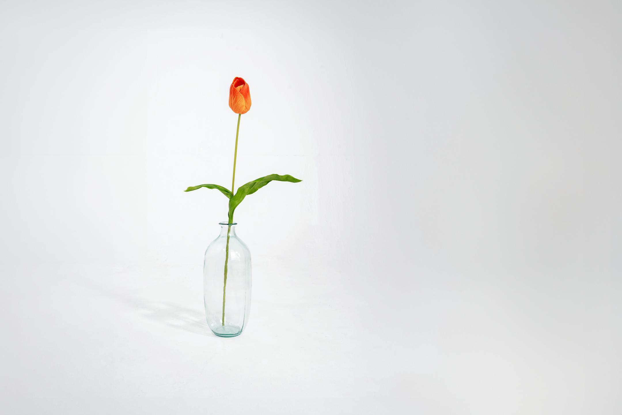 Orange artificial tulip stem in glass vase