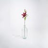 Purple artificial lily stem in glass vase