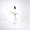 Purple artificial tulip stem in glass vase