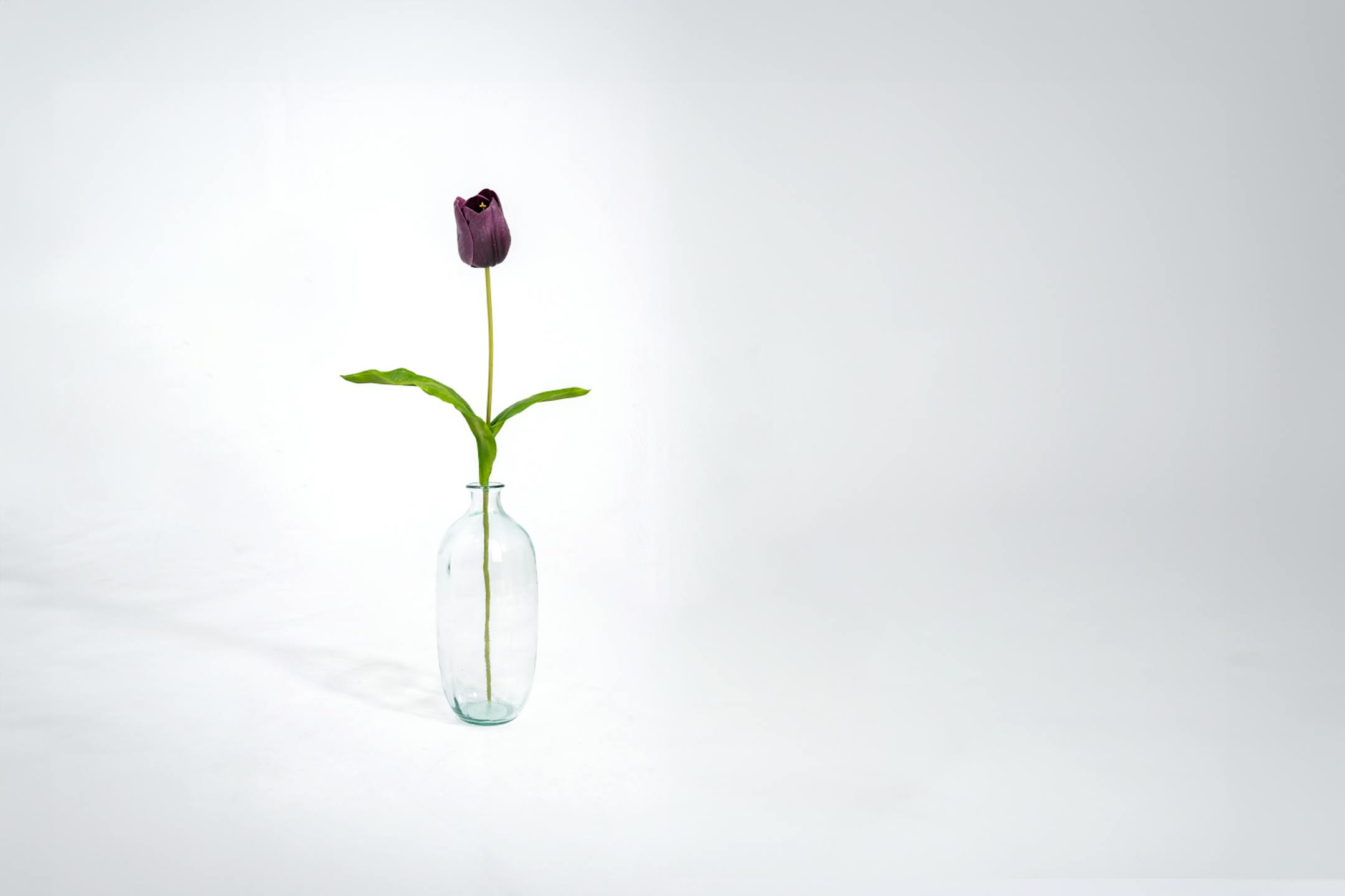 Purple artificial tulip stem in glass vase
