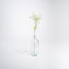 Artificial Queen Anne's lace stem in glass vase