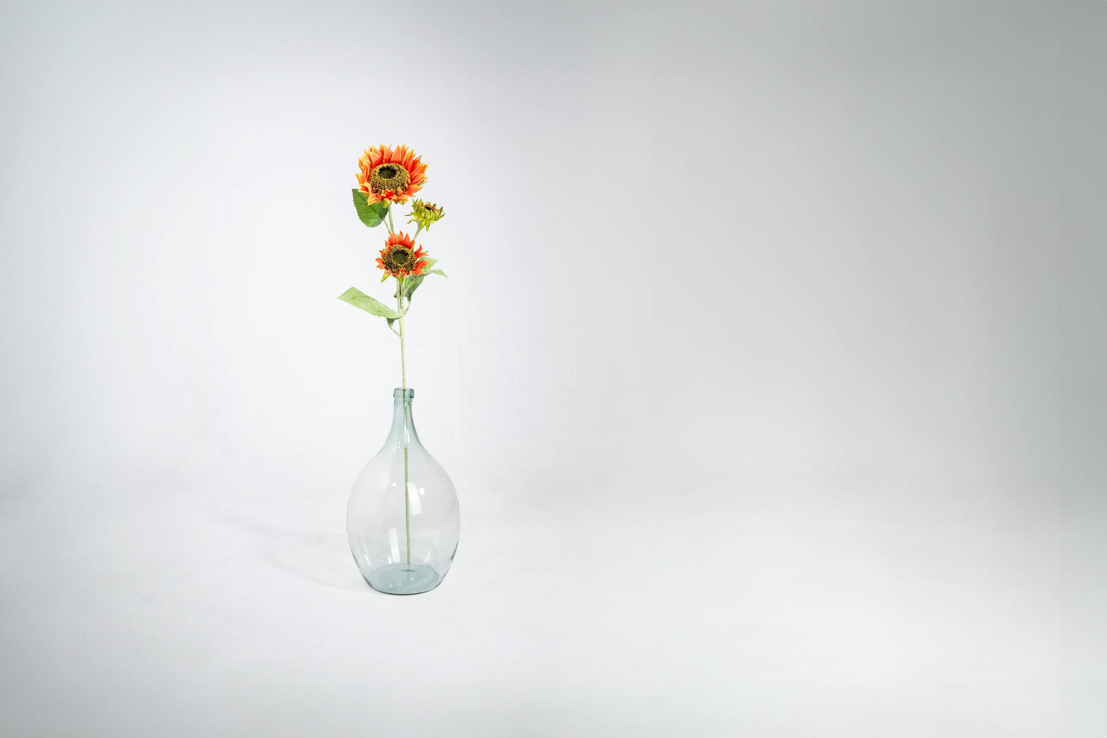 Triple orange artificial sunflower stem in glass vase