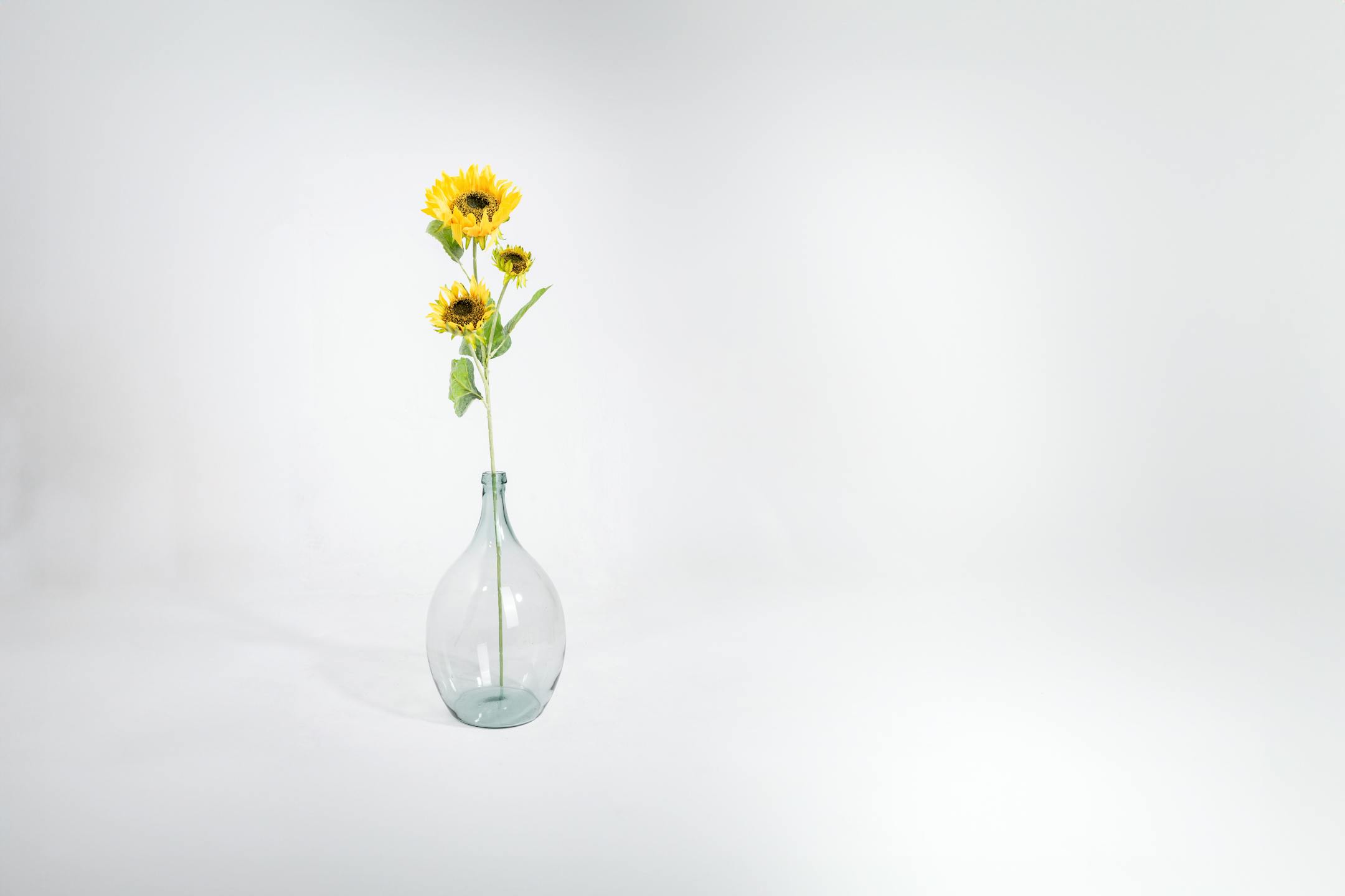 Triple yellow artificial sunflower stem in glass vase