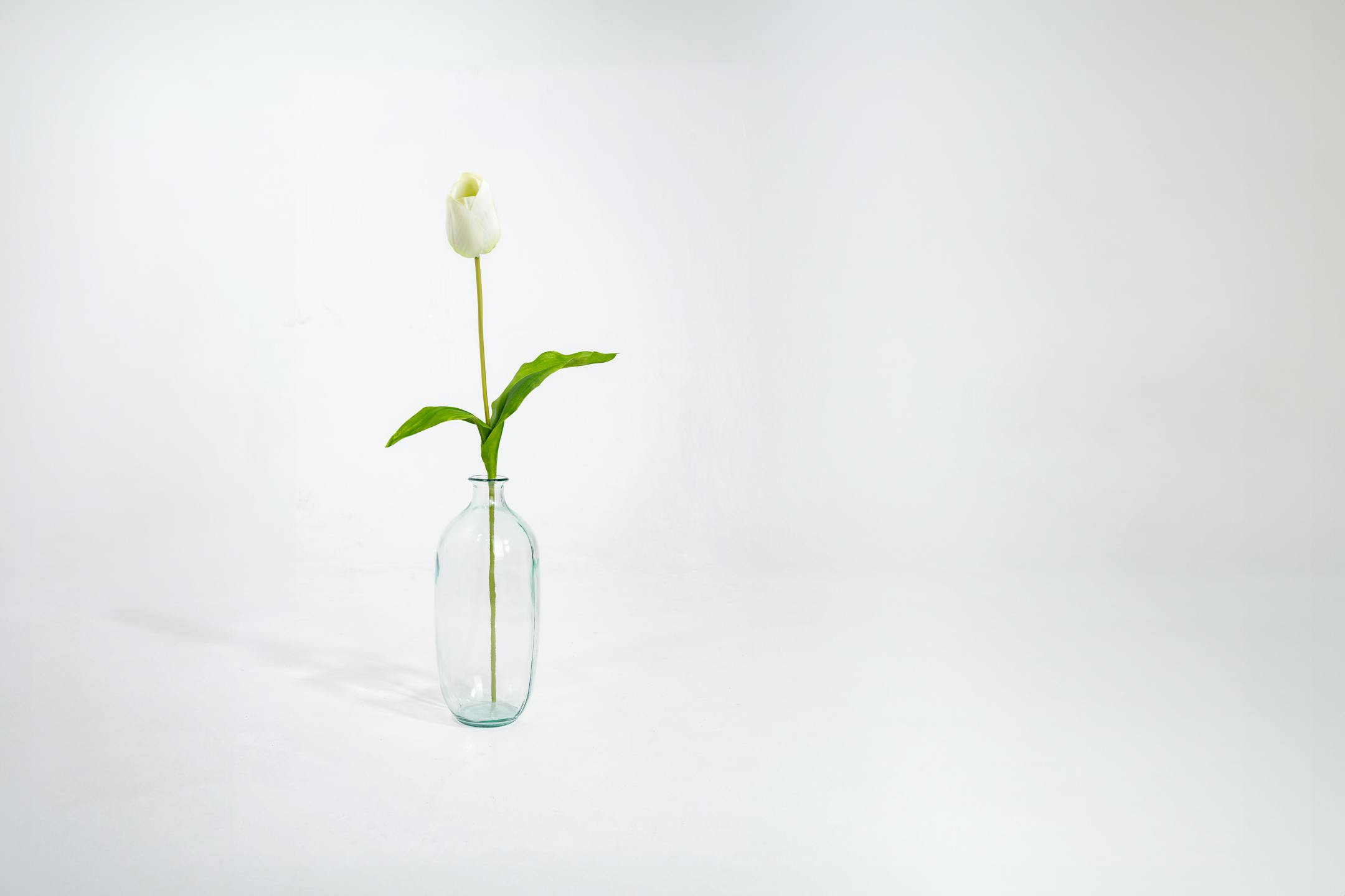 White artificial tulip stem in glass vase