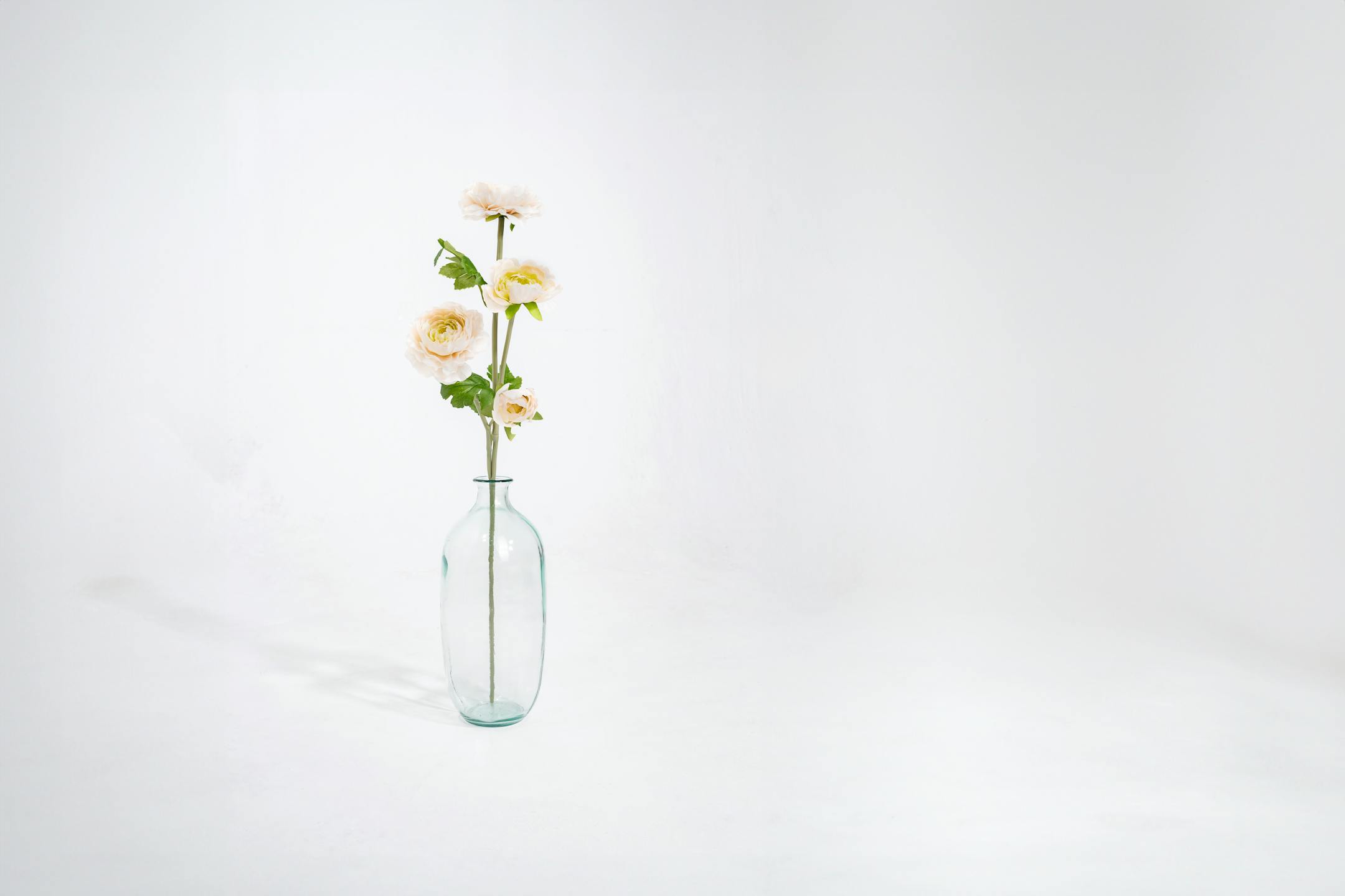 Cream artificial ranunculous stem in glass vase