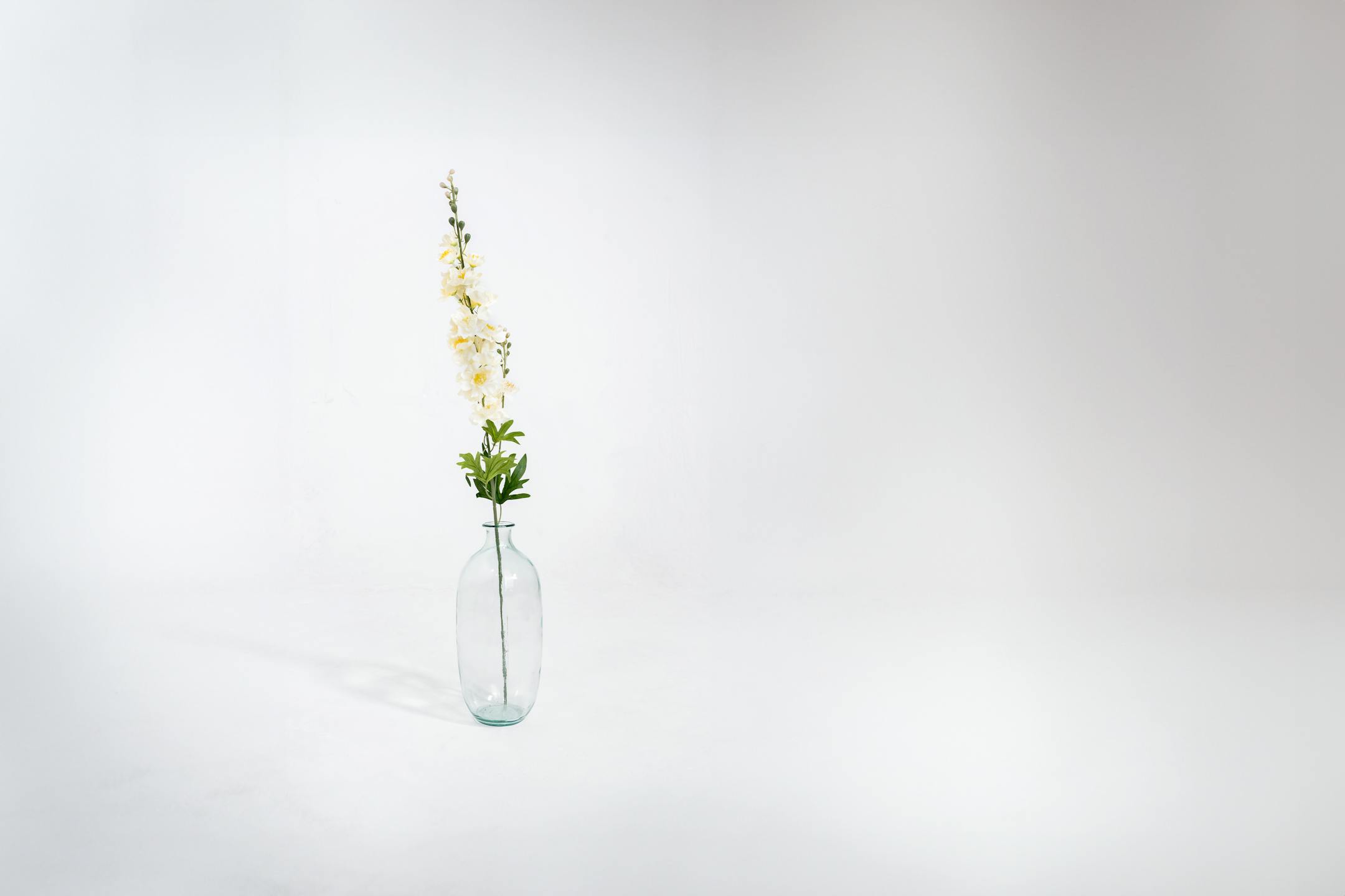 Cream artificial delphinium stem in glass vase
