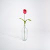 Pink artificial tulip stem in glass vase