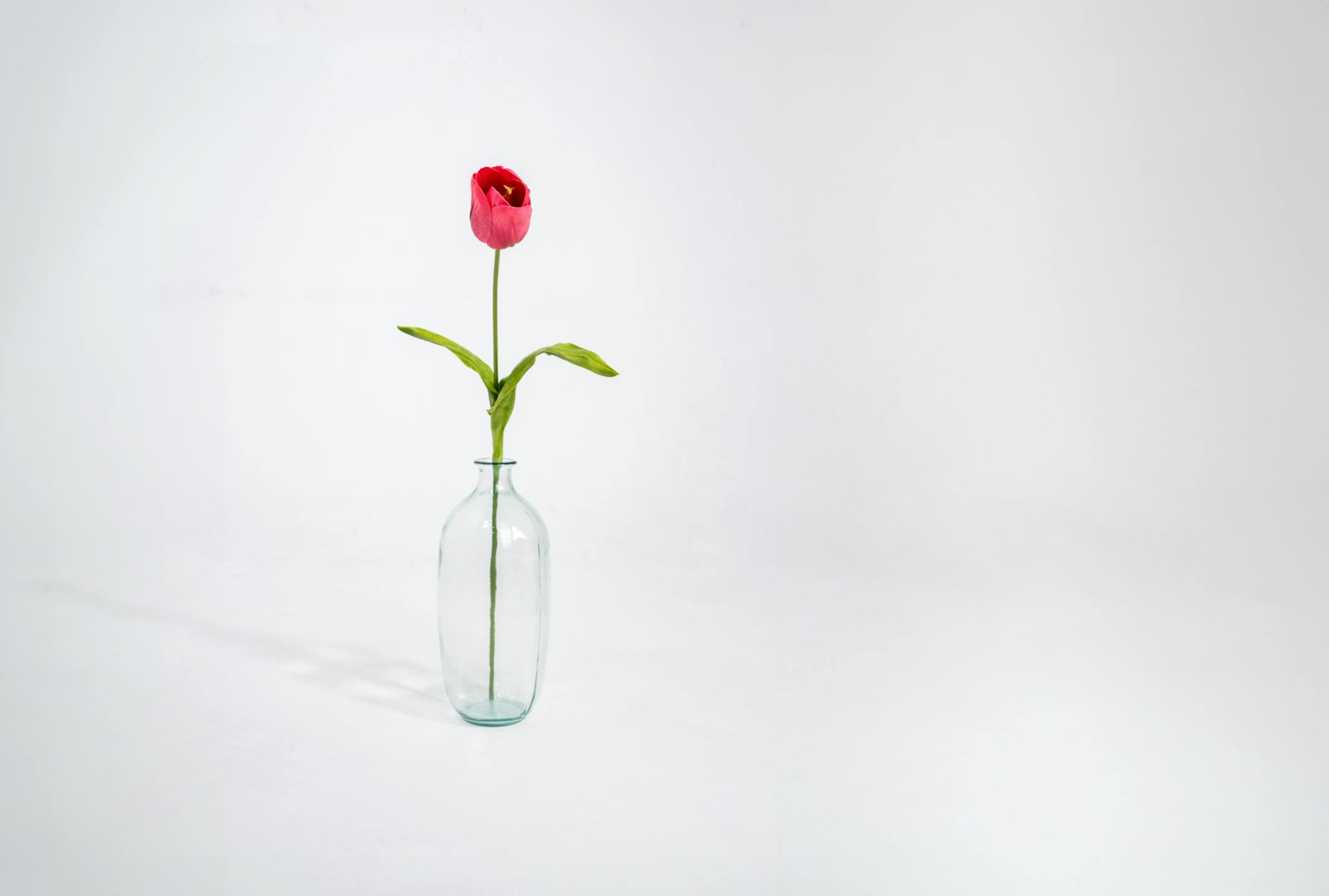 Pink artificial tulip stem in glass vase
