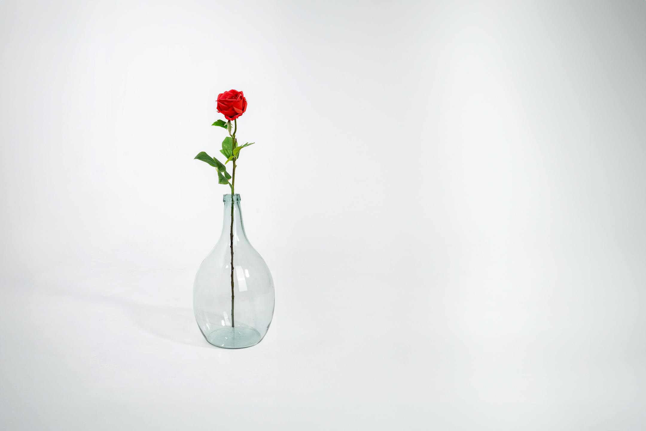 Red artificial rose stem in glass vase