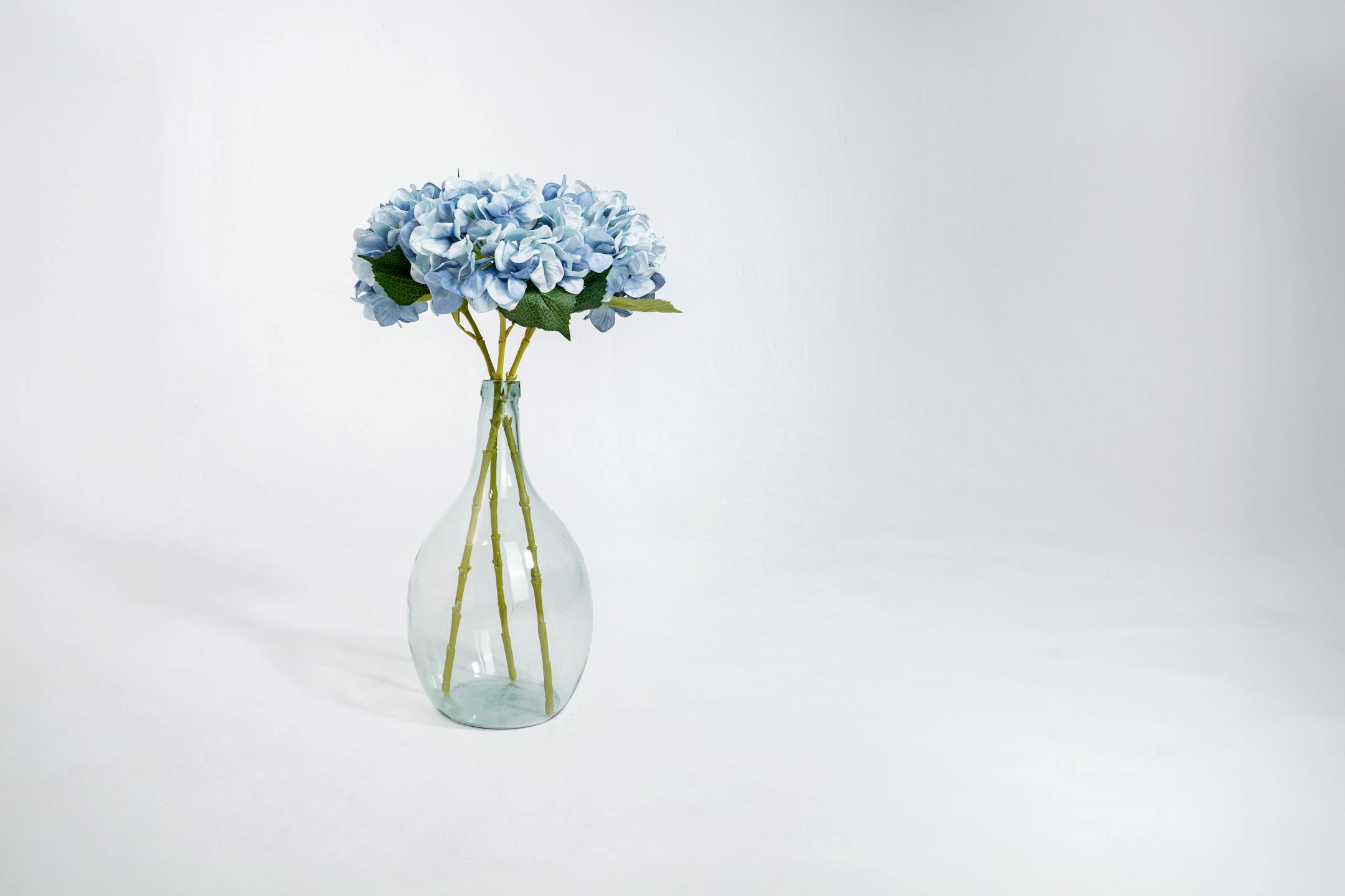 Blue artificial hydrangea stems in glass vase