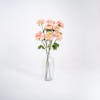 Three coral artificial ranunculous stems in glass vase