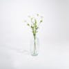 Three faux cosmo stems in glass vase