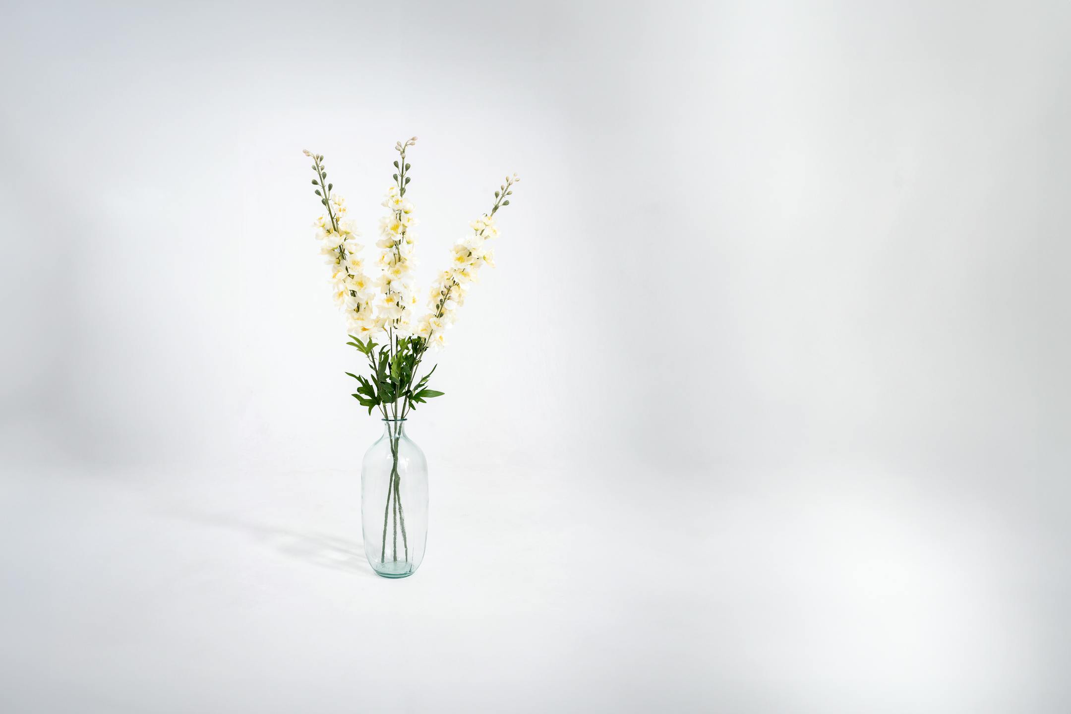 Cream artificial delphinium stems in glass vase
