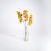 Three artificial cymbidium orchid stems in glass vase