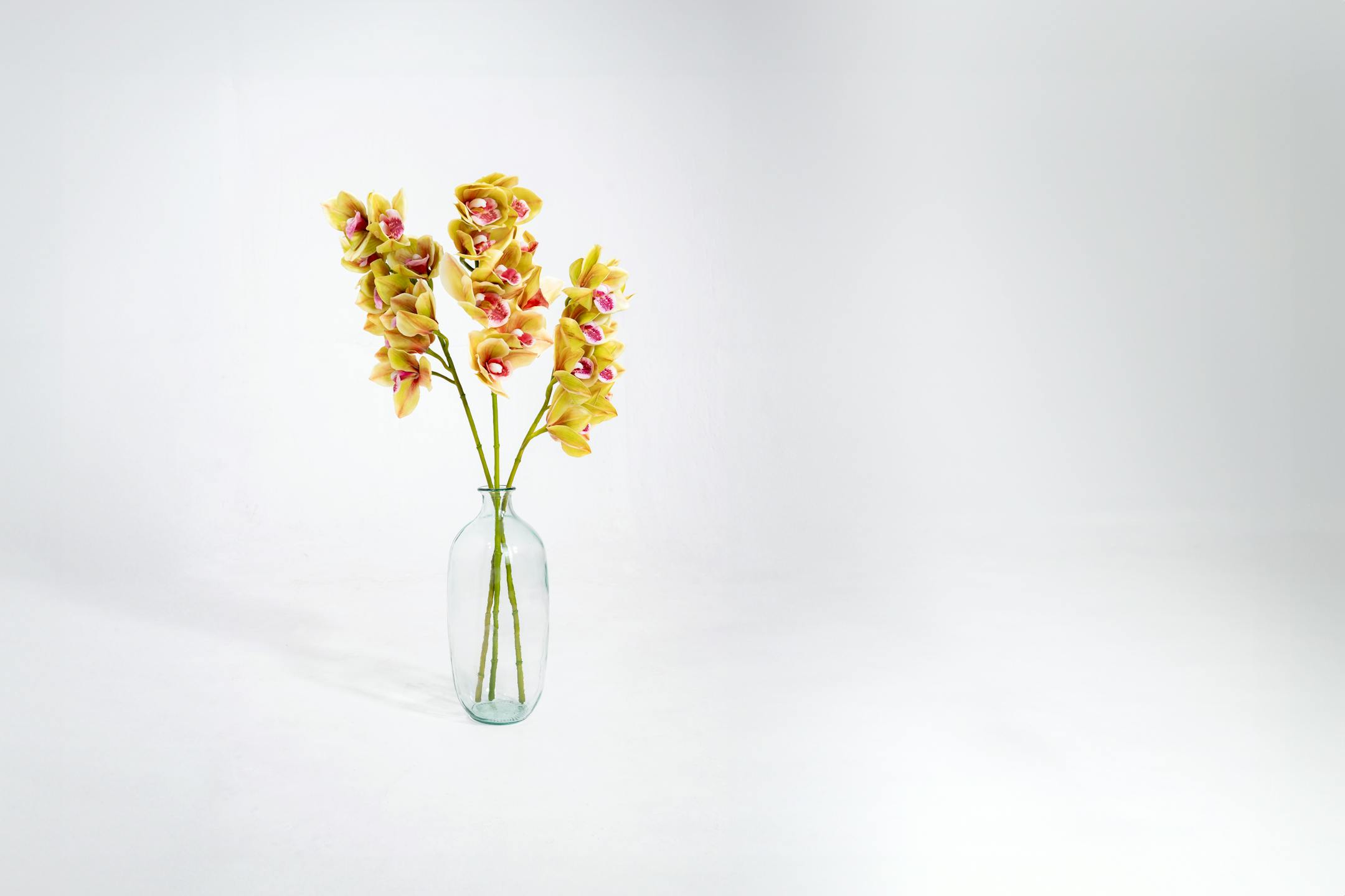 Three artificial cymbidium orchid stems in glass vase