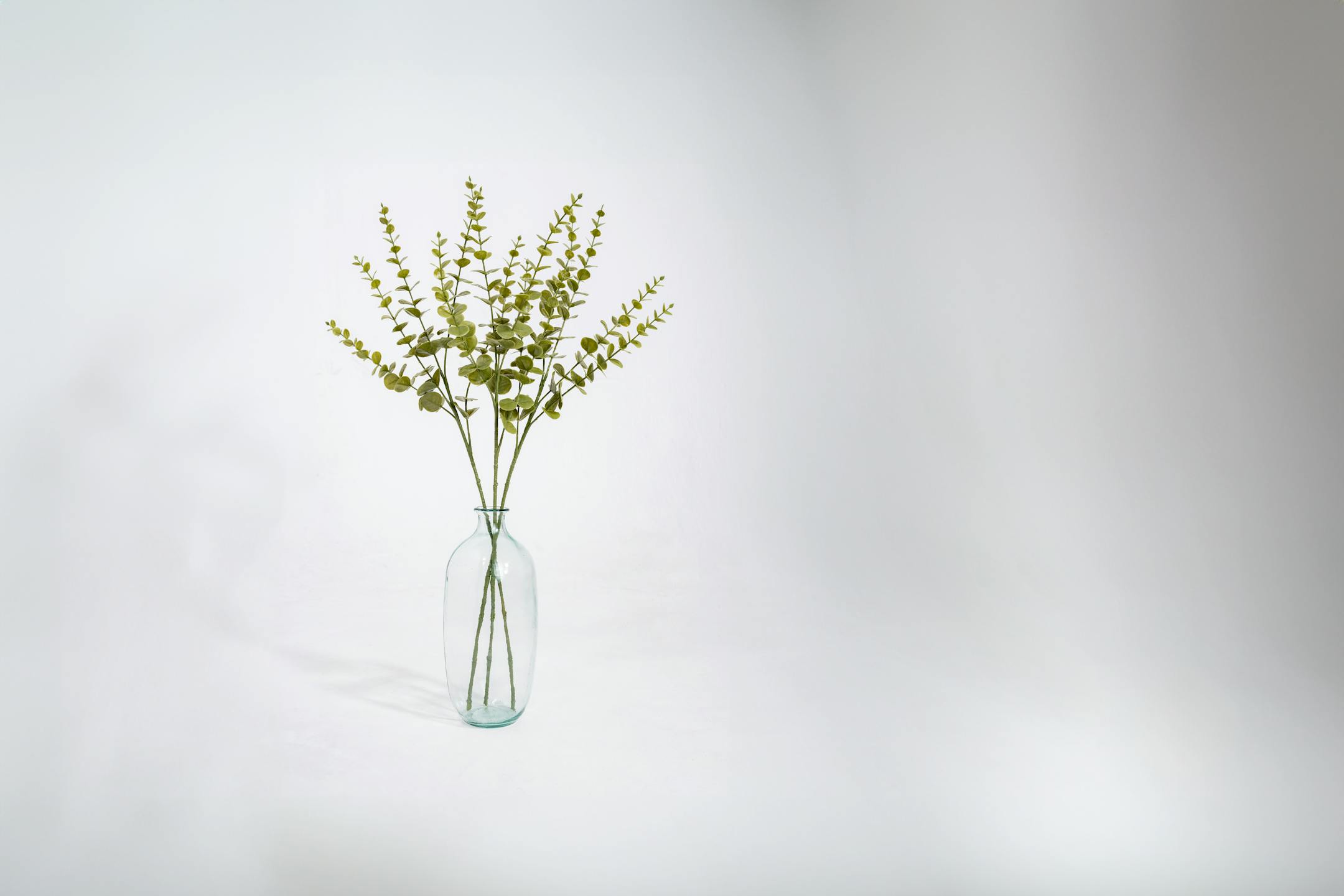 Three artificial eucalyptus filler sprays in glass vase