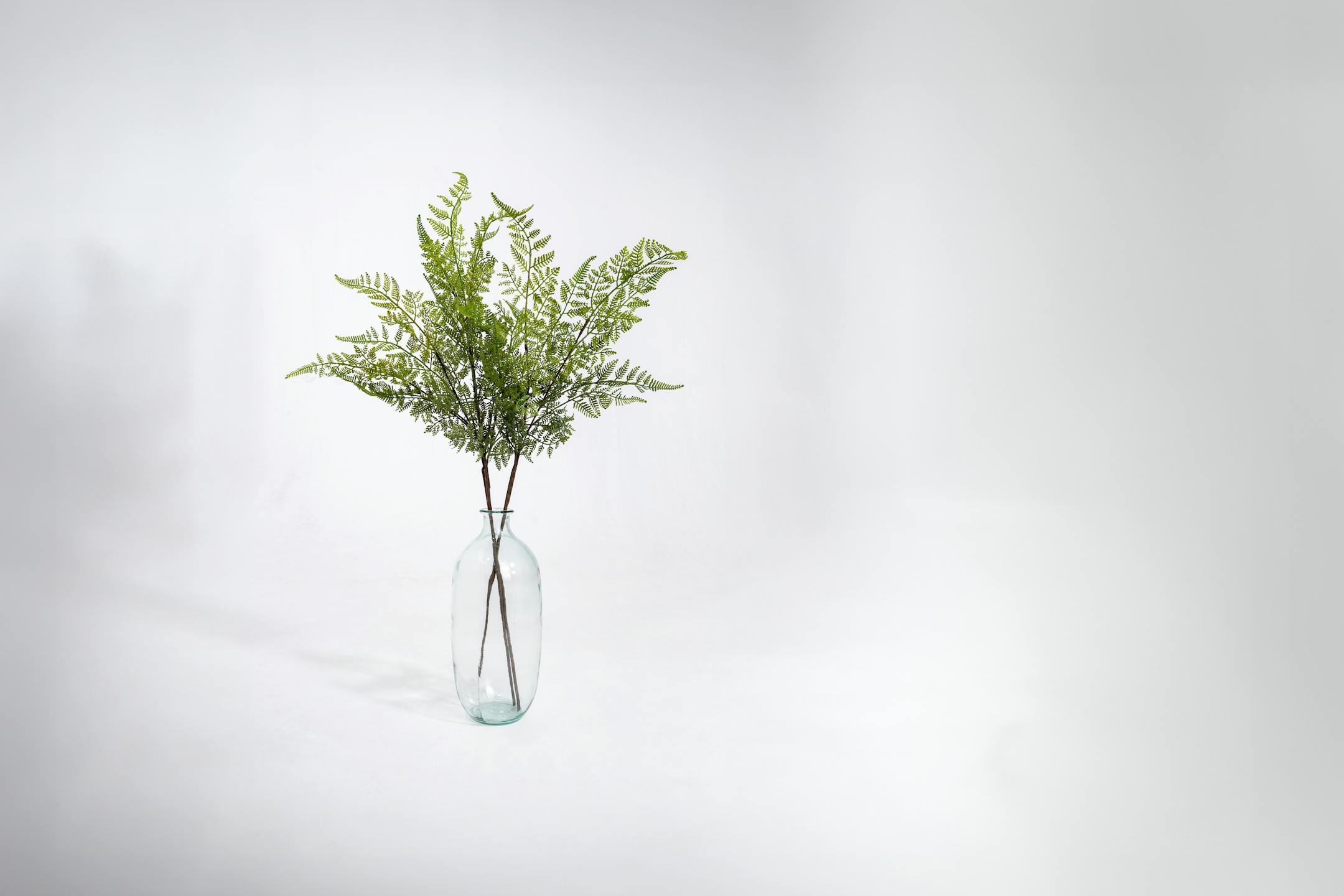 Three artificial forest fern stems in glass vase