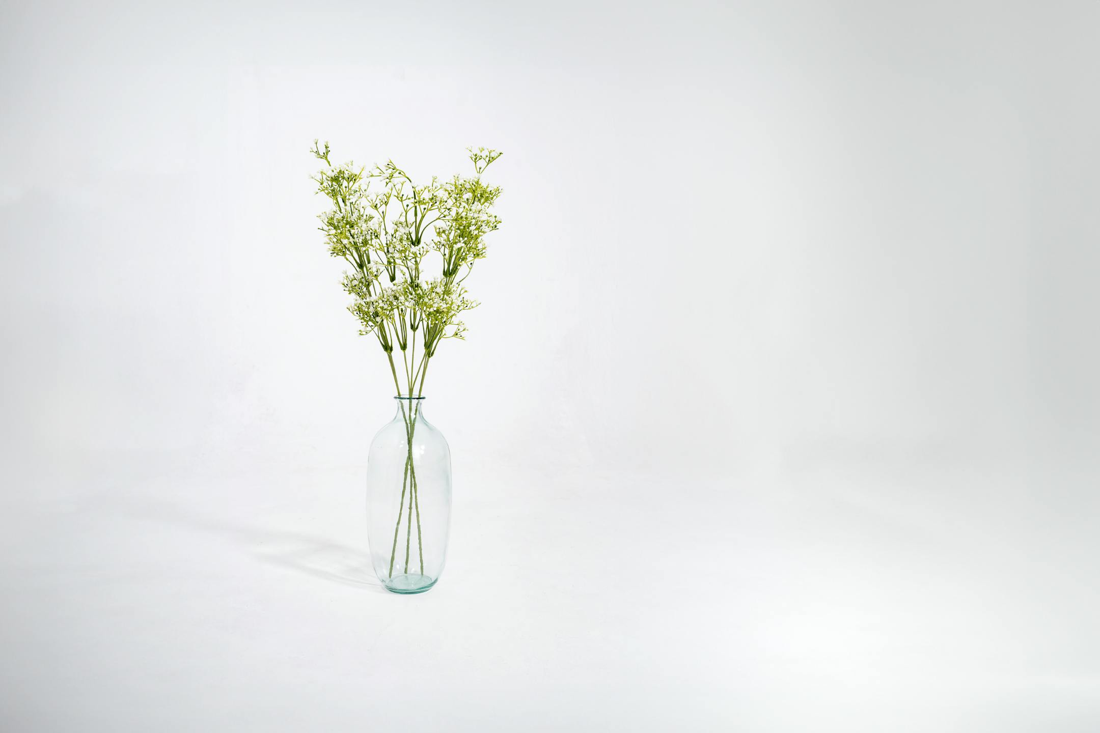 Three artificial white gypsophilia sprays in glass vase