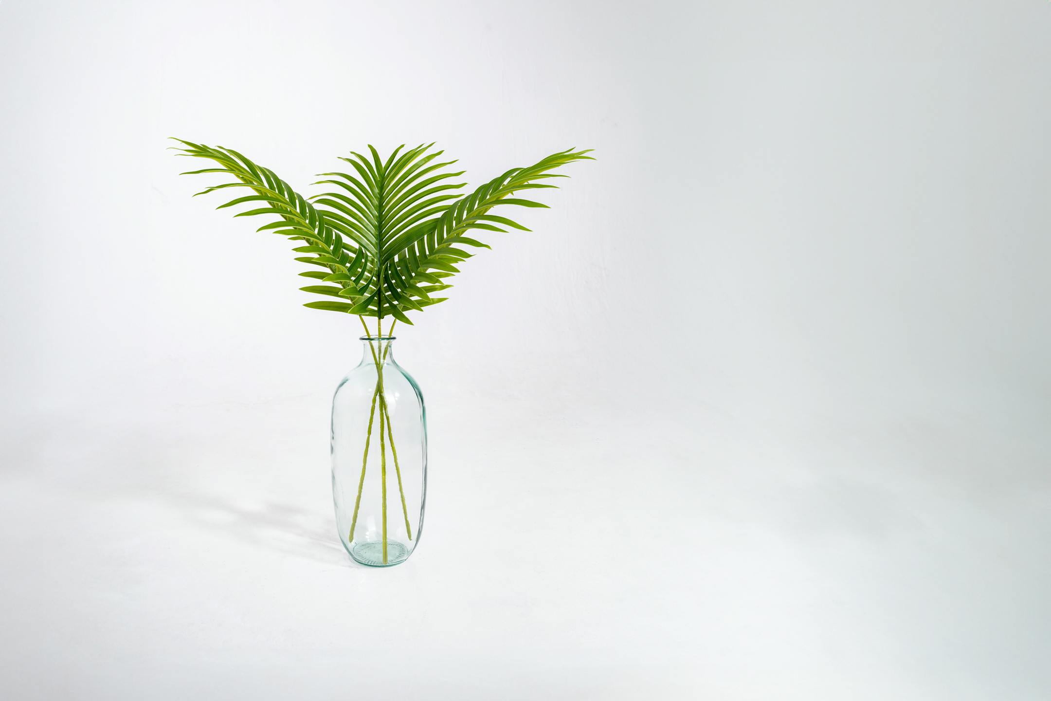 Three artificial paradise leaf stems in glass vase