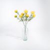 Three artificial yellow pincushion stems