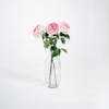 Three pink artificial cabbage rose stems