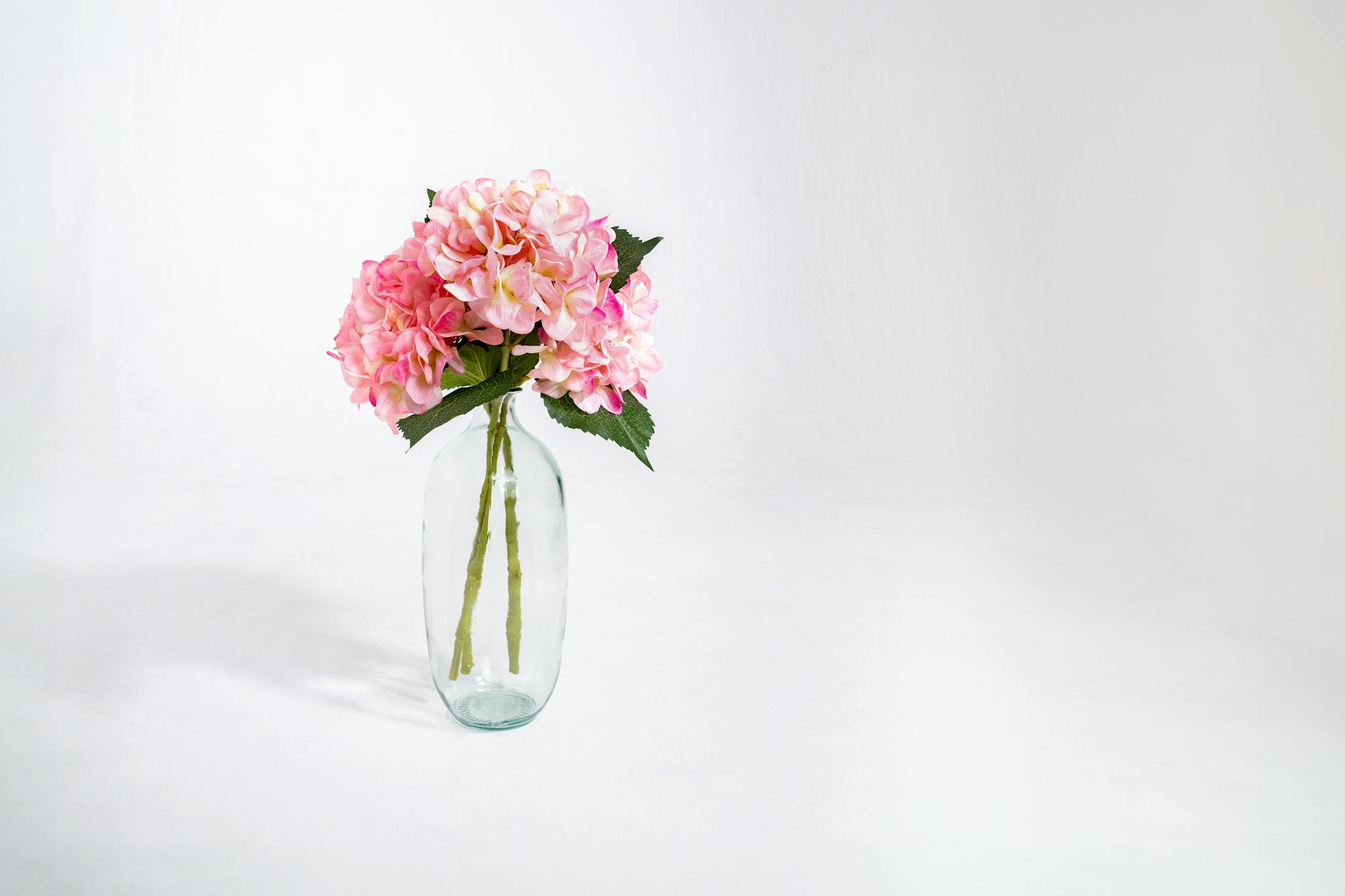 Pink artificial hydrangea stems in glass vase