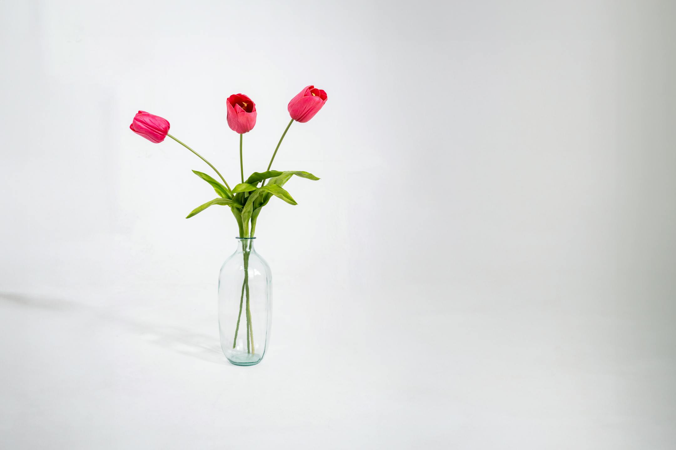 Three pink artificial tulip stems in glass vase