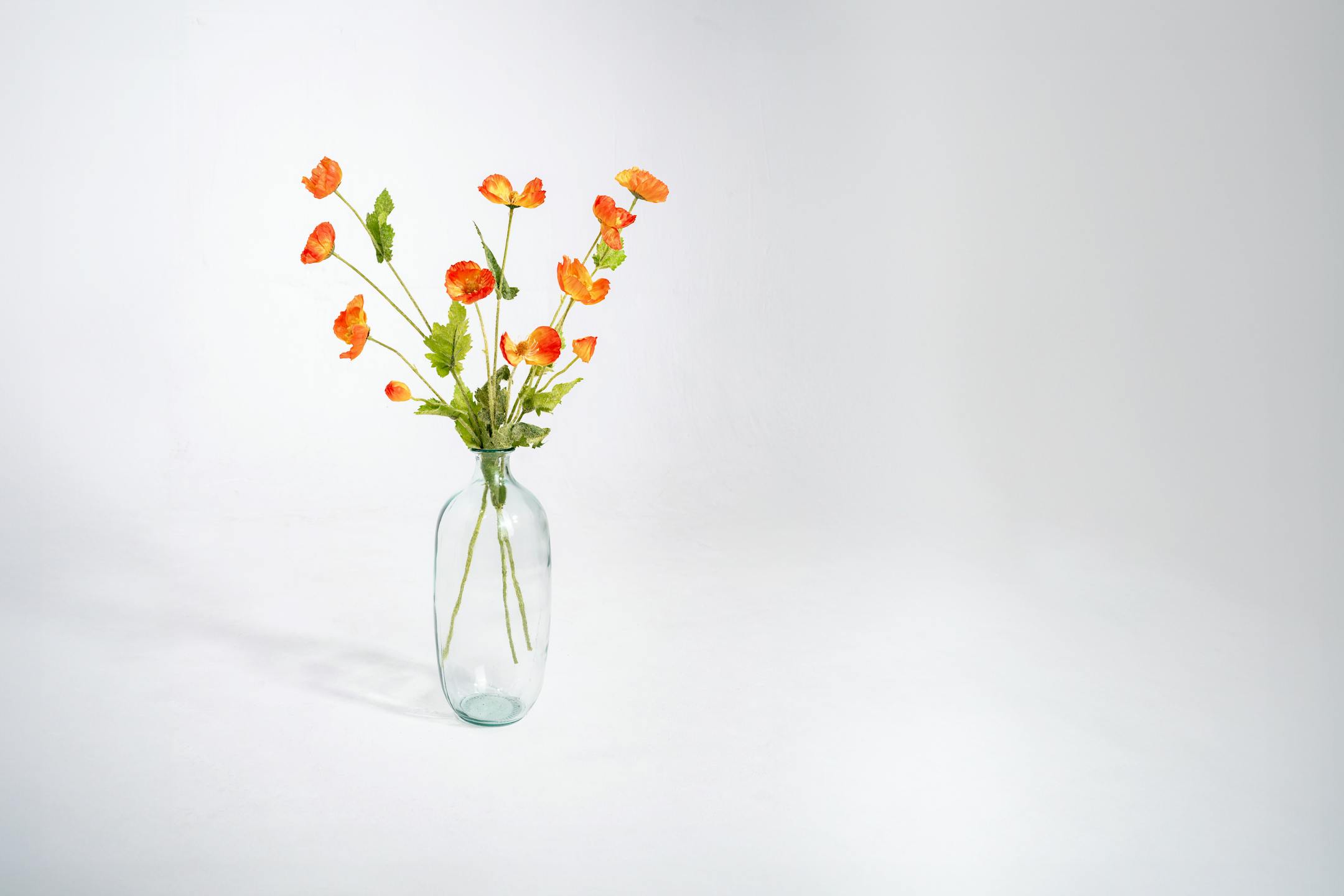 Three artificial poppy stems in glass vase