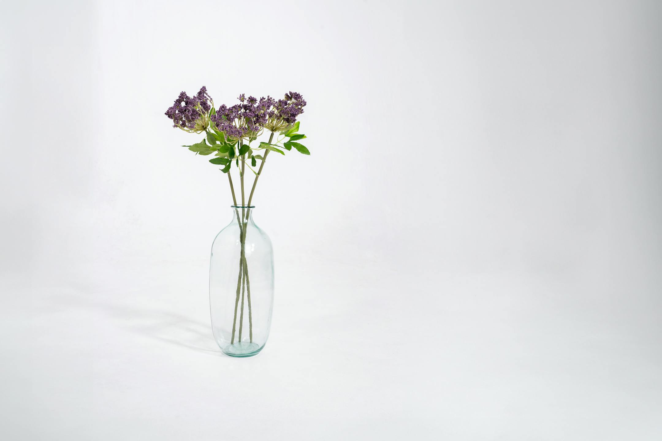 Three purple artificial cow parsley stems in glass vase
