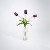 Three purple artificial tulip stems in glass vase