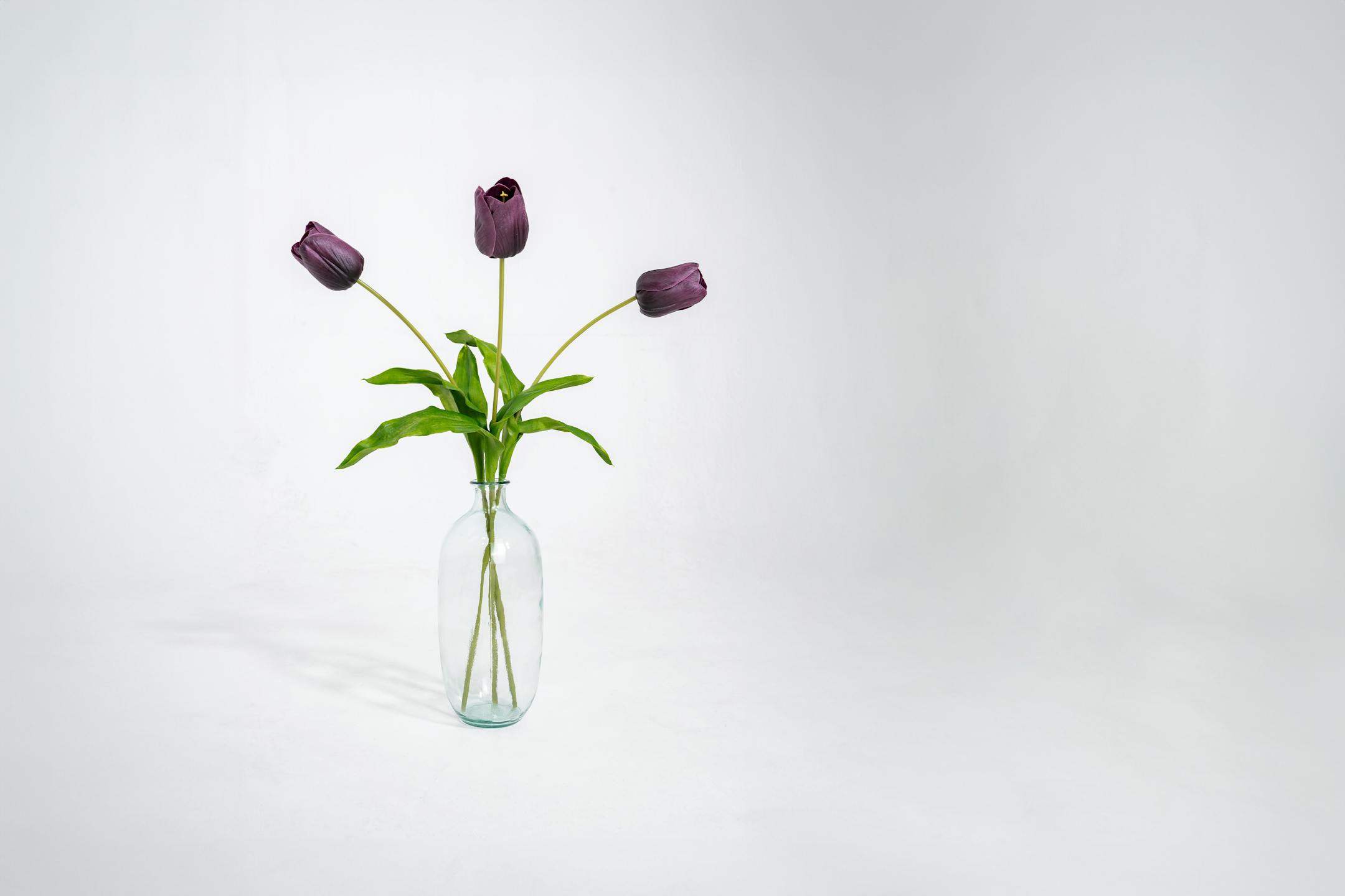 Three purple artificial tulip stems in glass vase