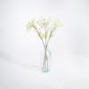 Three artificial Queen Anne's lace stems in glass vase