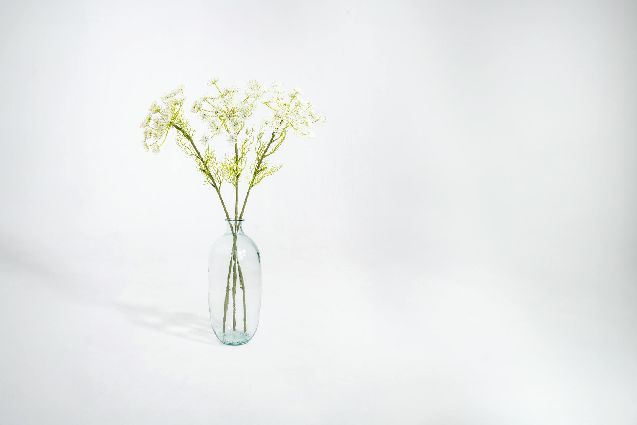 Three artificial Queen Anne's lace stems in glass vase