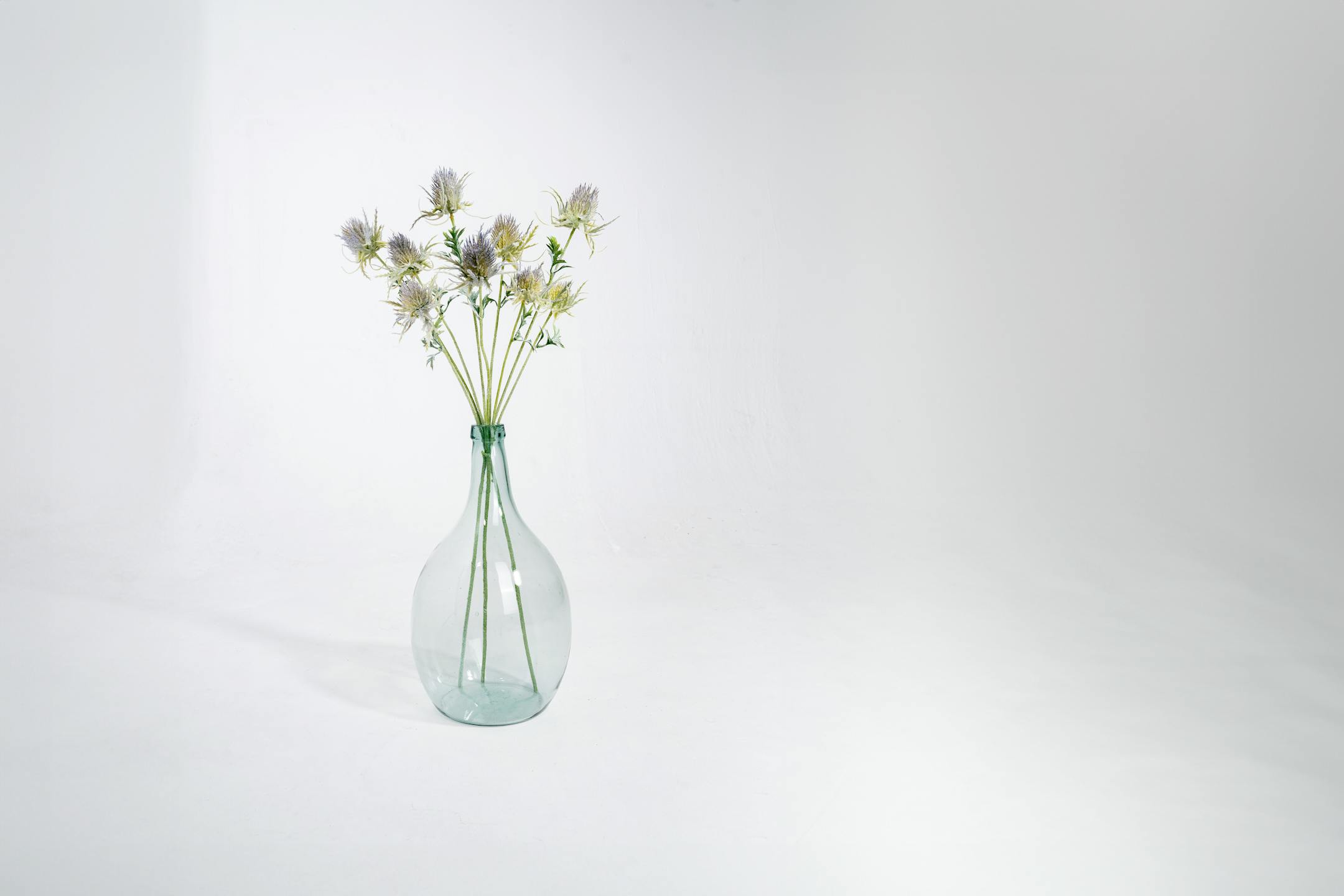 Three artificial thistle stems in glass vase