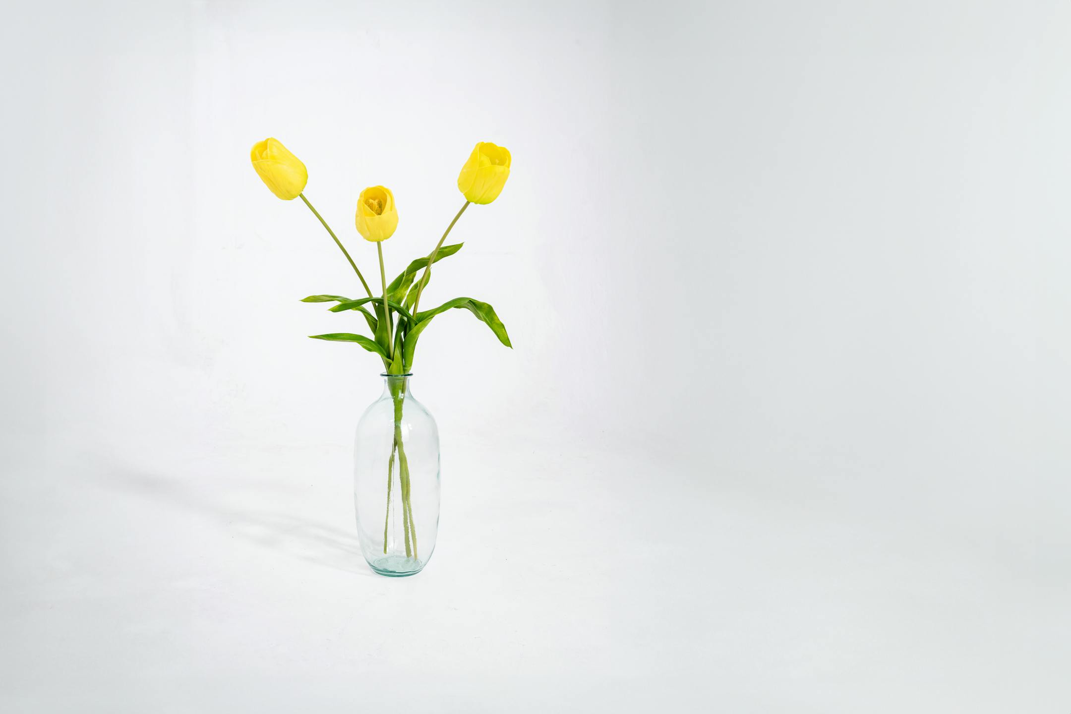 Three yellow artificial tulip stems in glass vase