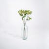 Three green artificial cow parsley stems in glass vase