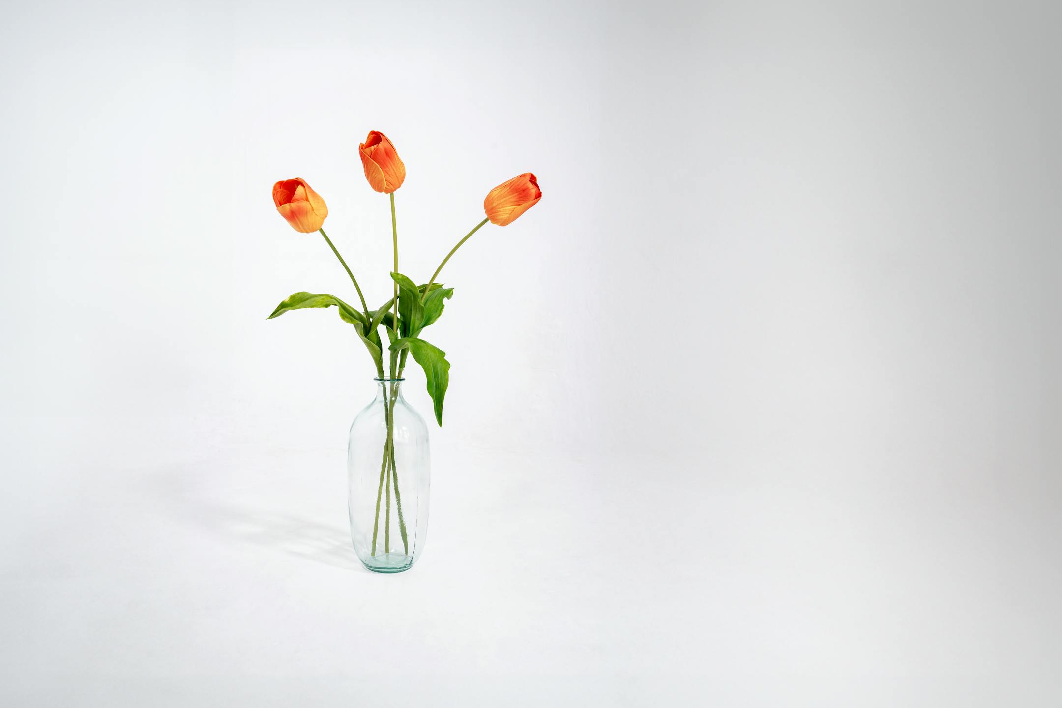 Three orange artificial tulip stems in glass vase