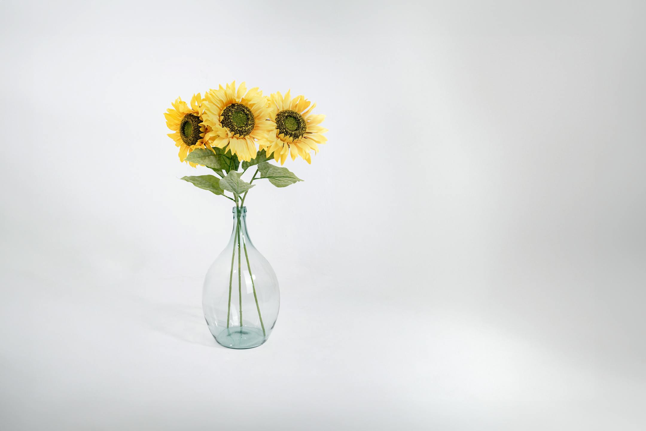 Three yellow single artificial sunflower stems in glass vase