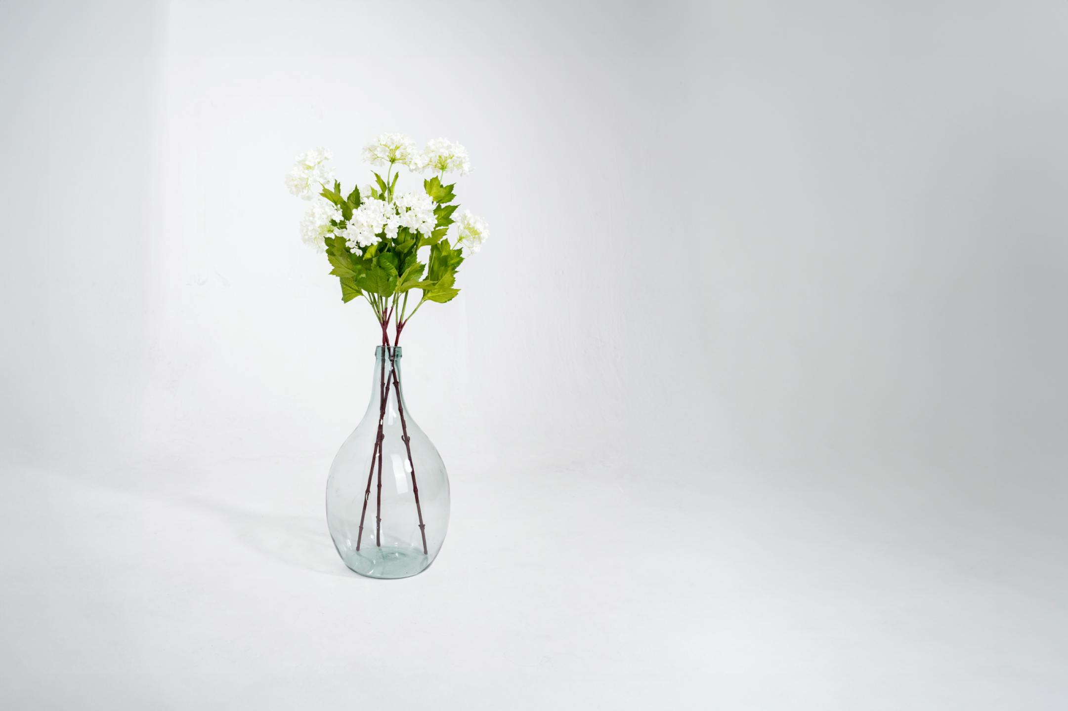 Three white artificial viburnum stems in glass vase