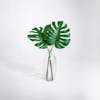 Two artificial monstera cheese plant leaves
